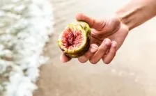 Cibi Da Non Mangiare