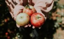 abbassare il colesterolo