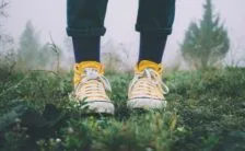 metabolismo più veloce