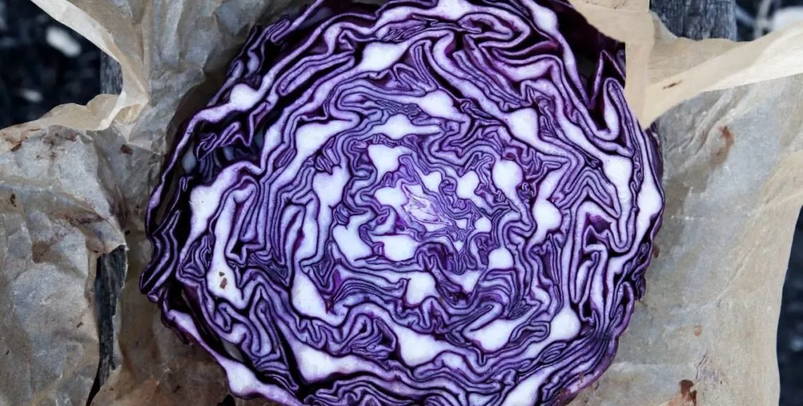 dieta di 3 giorni prima delle feste