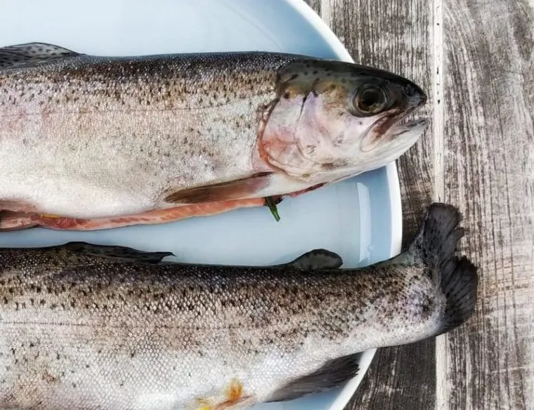 pesce-paleodieta PESCE PALEODIETA