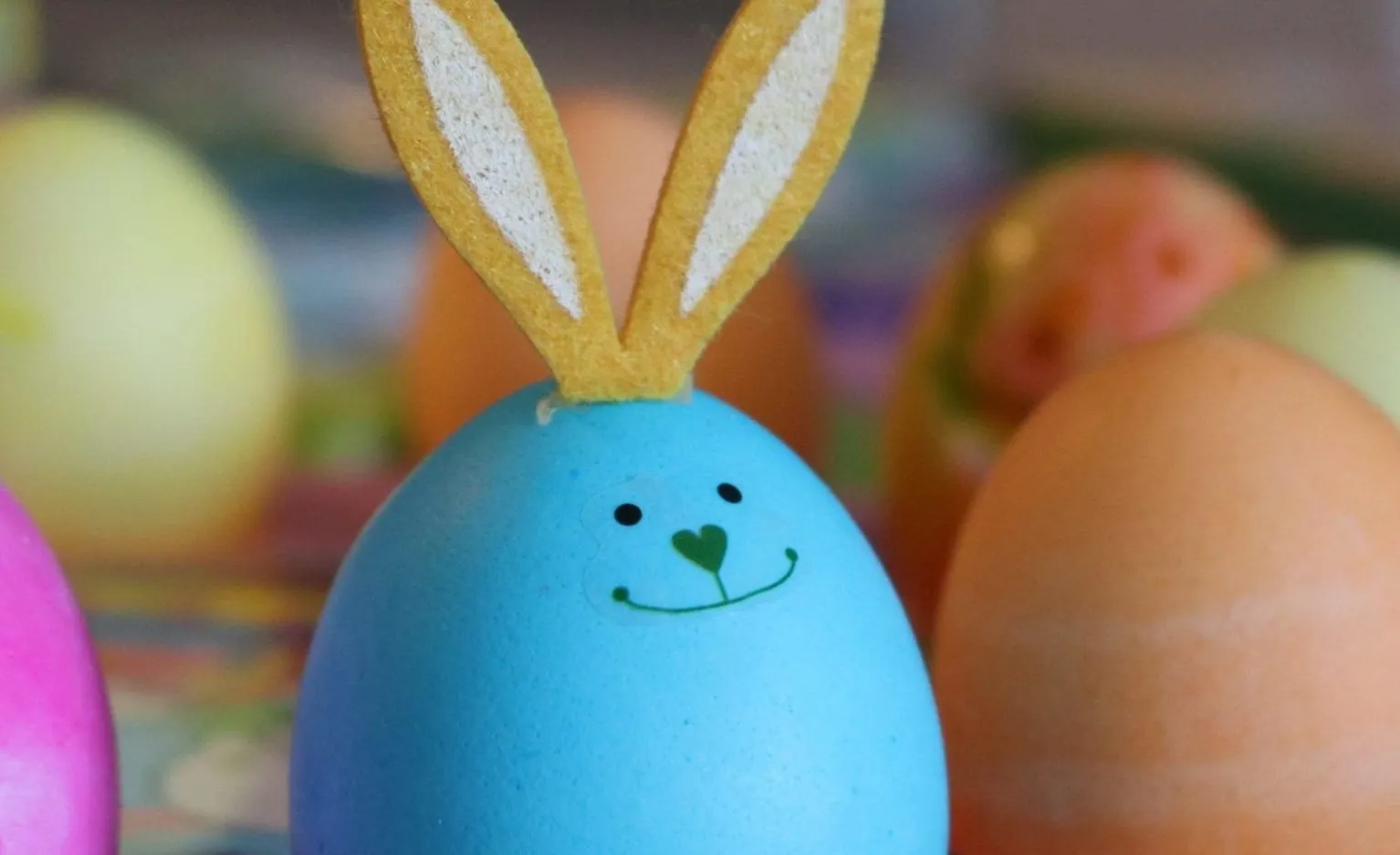 dimagrire-in-15-giorni dimagrire in 15 giorni