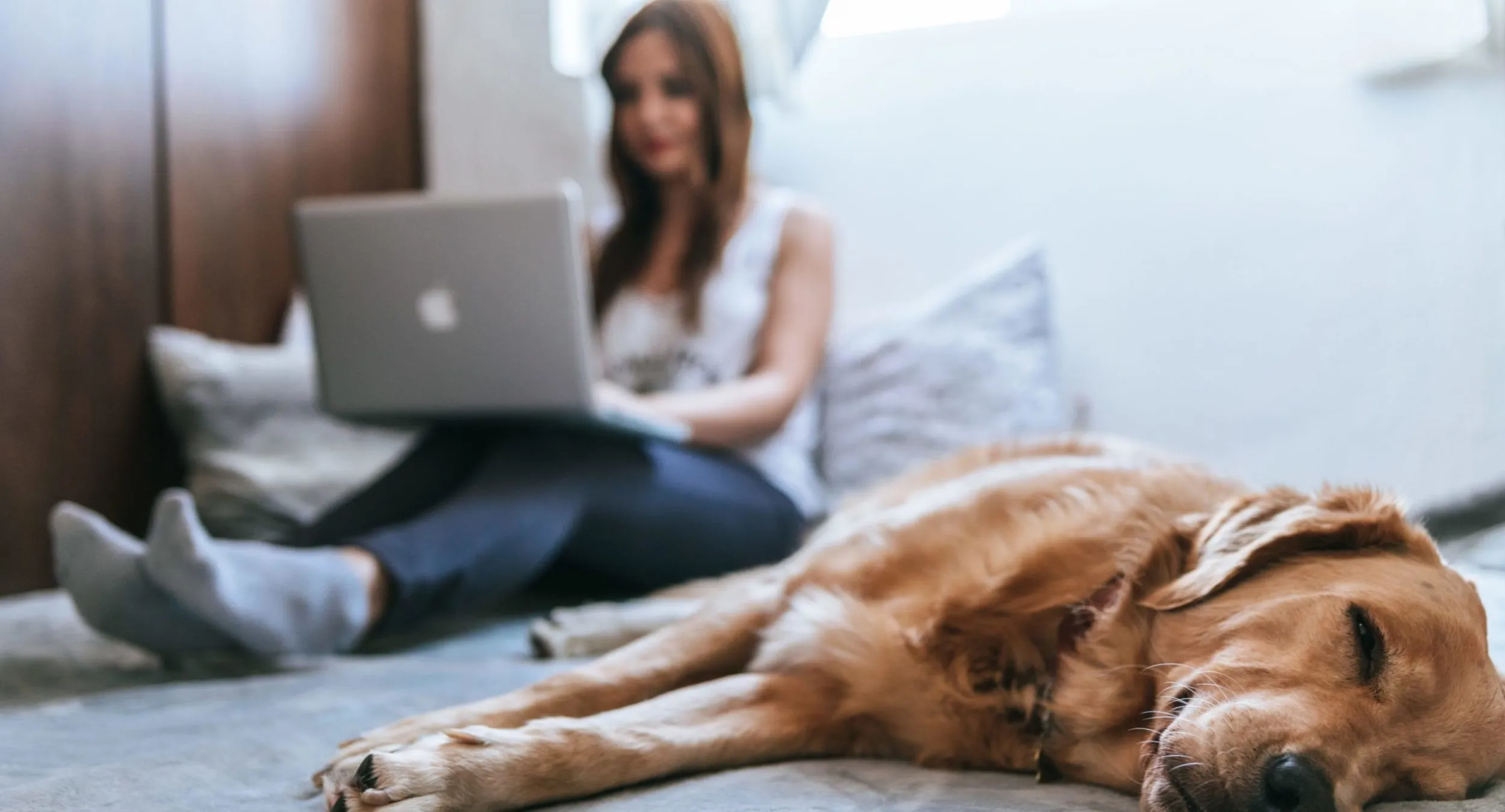 lavorare da casa dieta