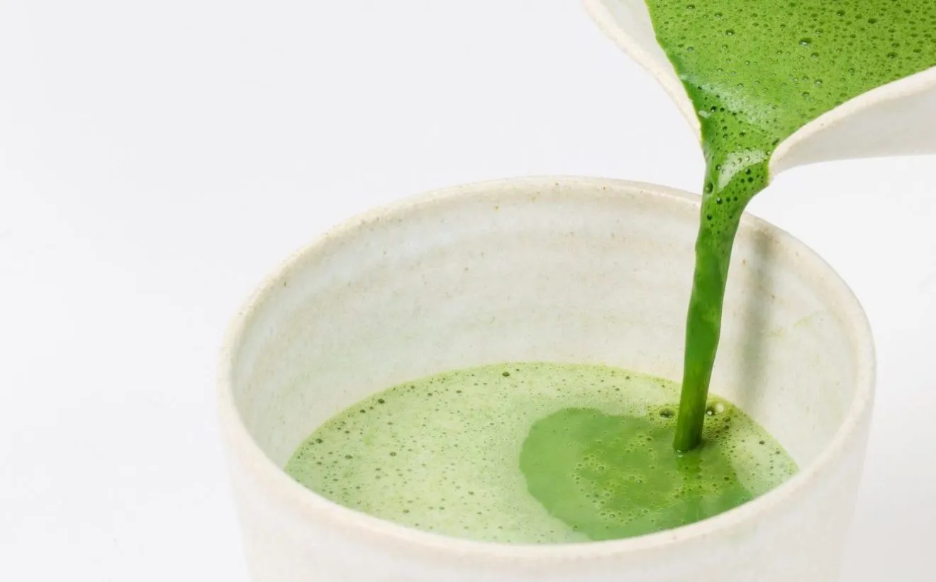 moringa oleifera proprietà