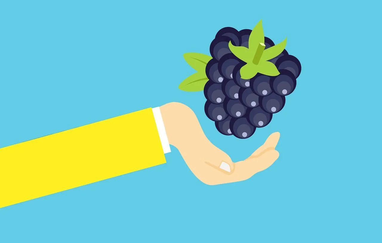 fase-2-come-dimagrire