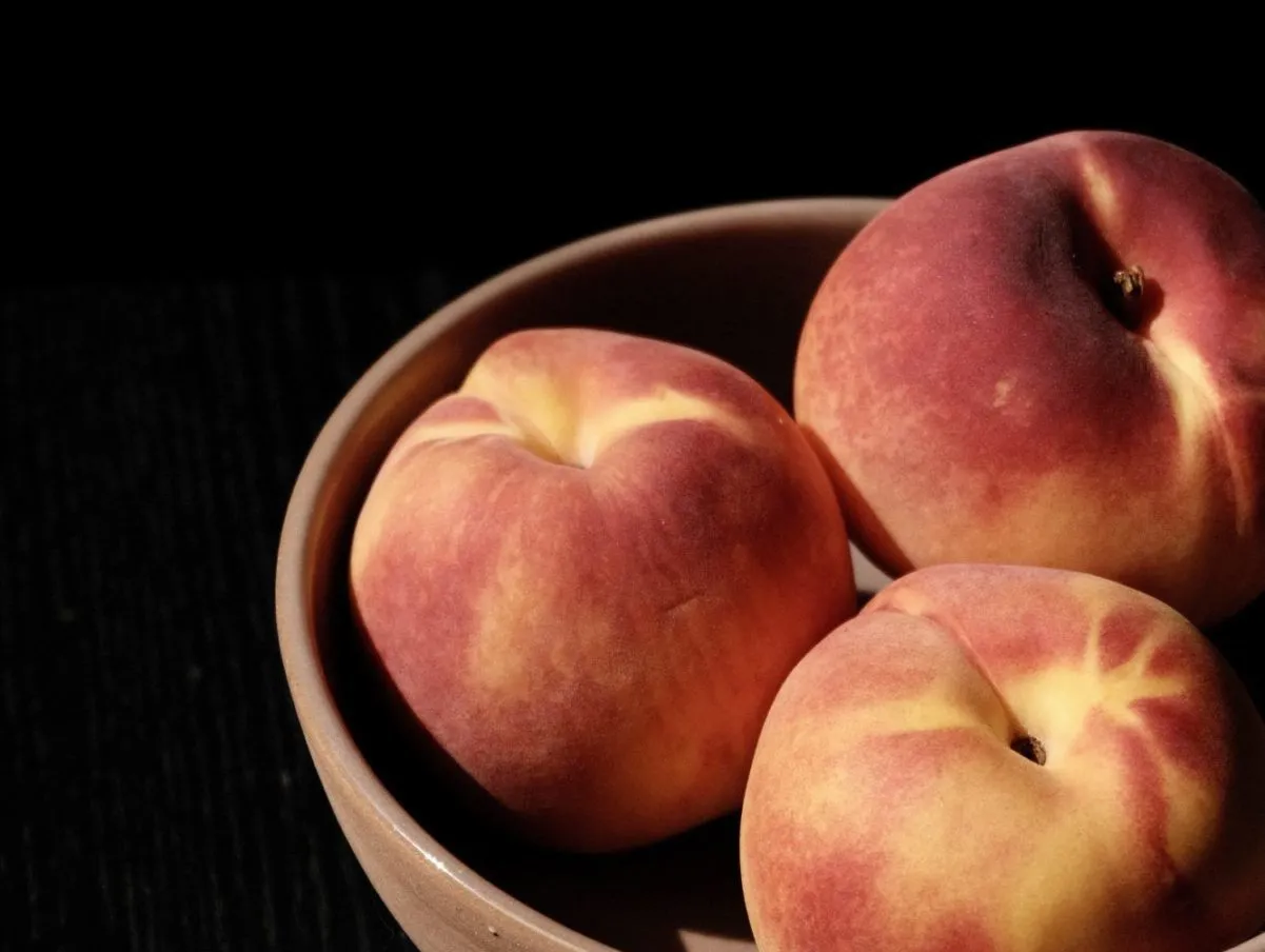 dieta mediterranea menu mensile