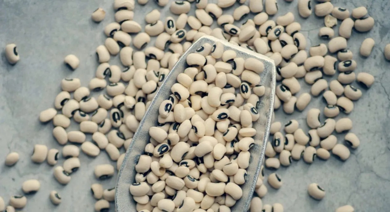 cibi-dietetici-dicembre inverno cibi