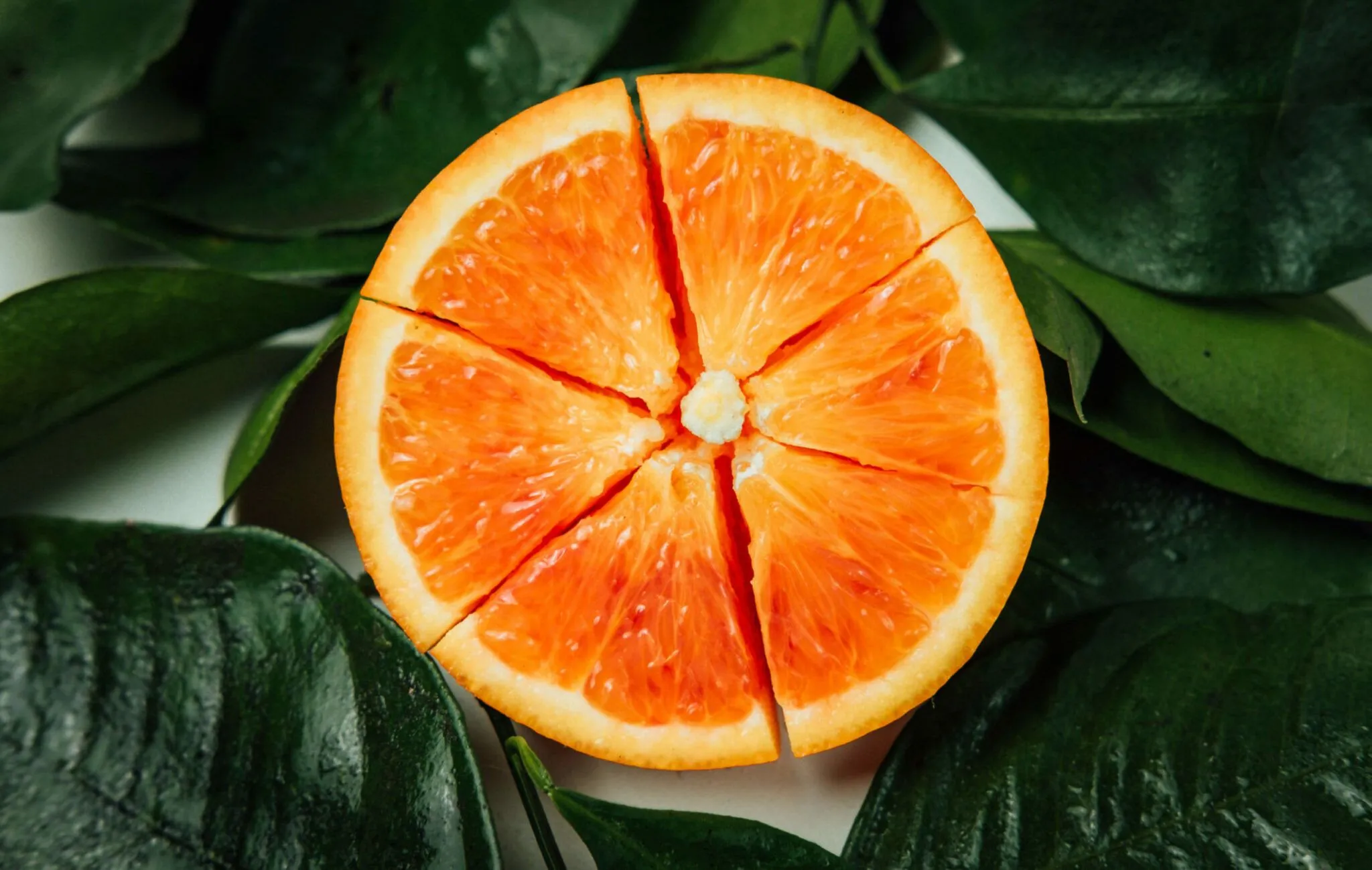 correlazione tra alimentazione e salute