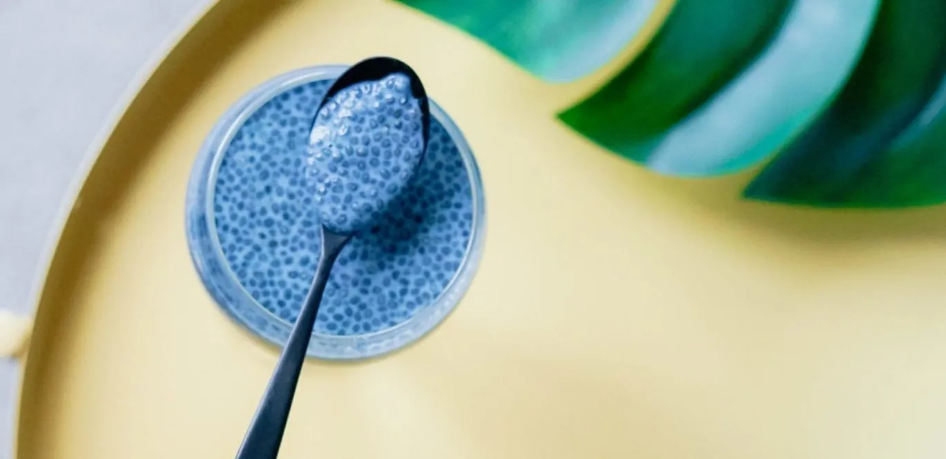 bevanda-chia chia acqua