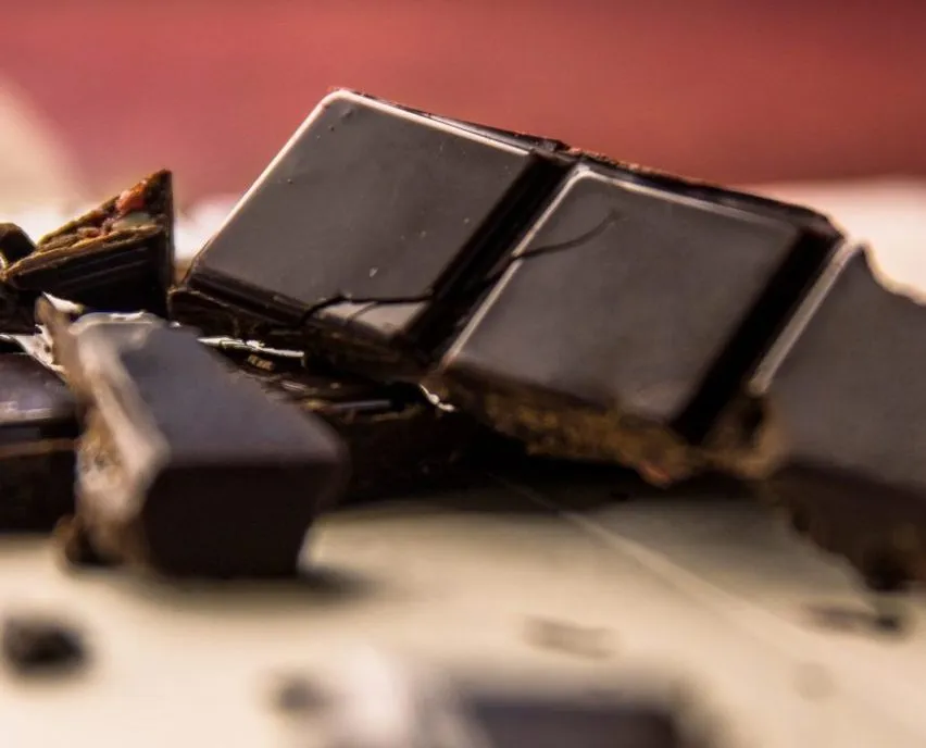 cacao-e-cioccolato cacao