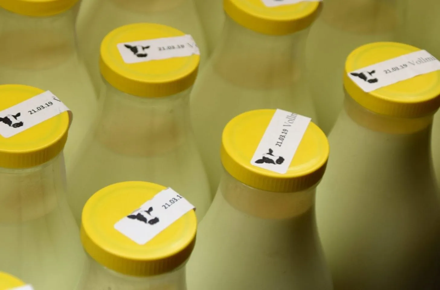 cibi-scaduti-latte cibi scaduti latte