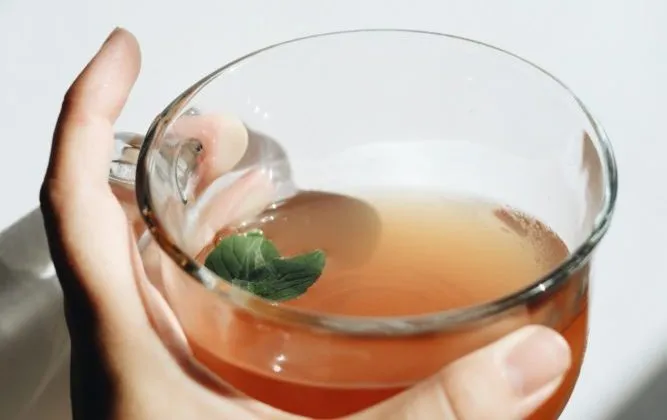 bevanda-detox bevanda detox natale