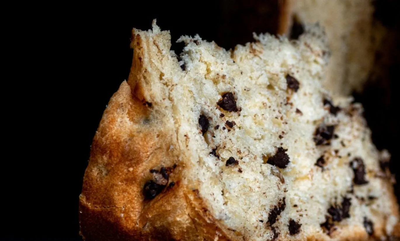 panettone cioccolato