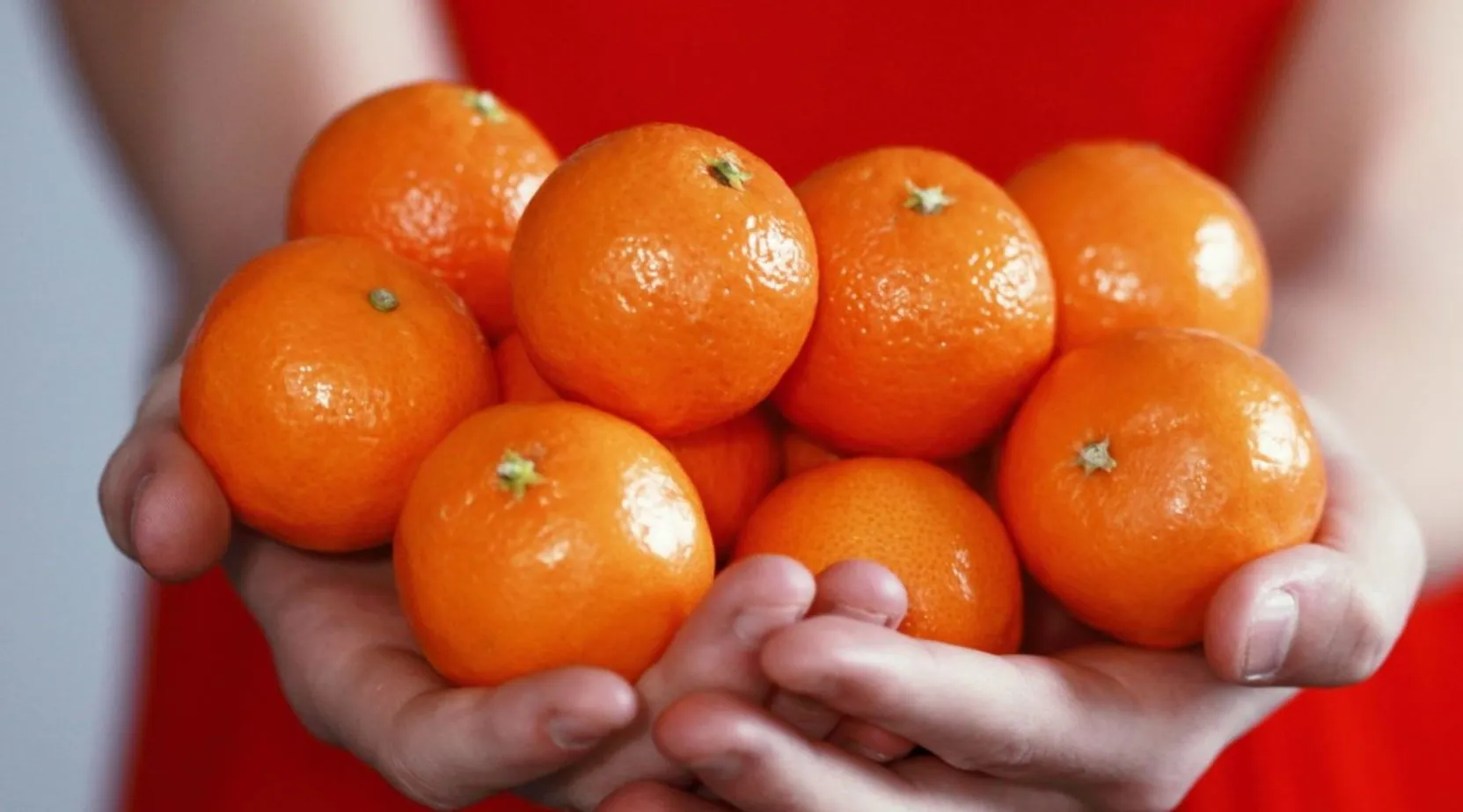 cibi-naturali cibi naturali