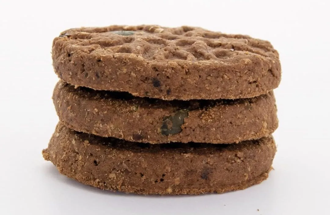 252230948_4568232783243136_7999044259411406986_n 252230948_4568232783243136_7999044259411406986_n