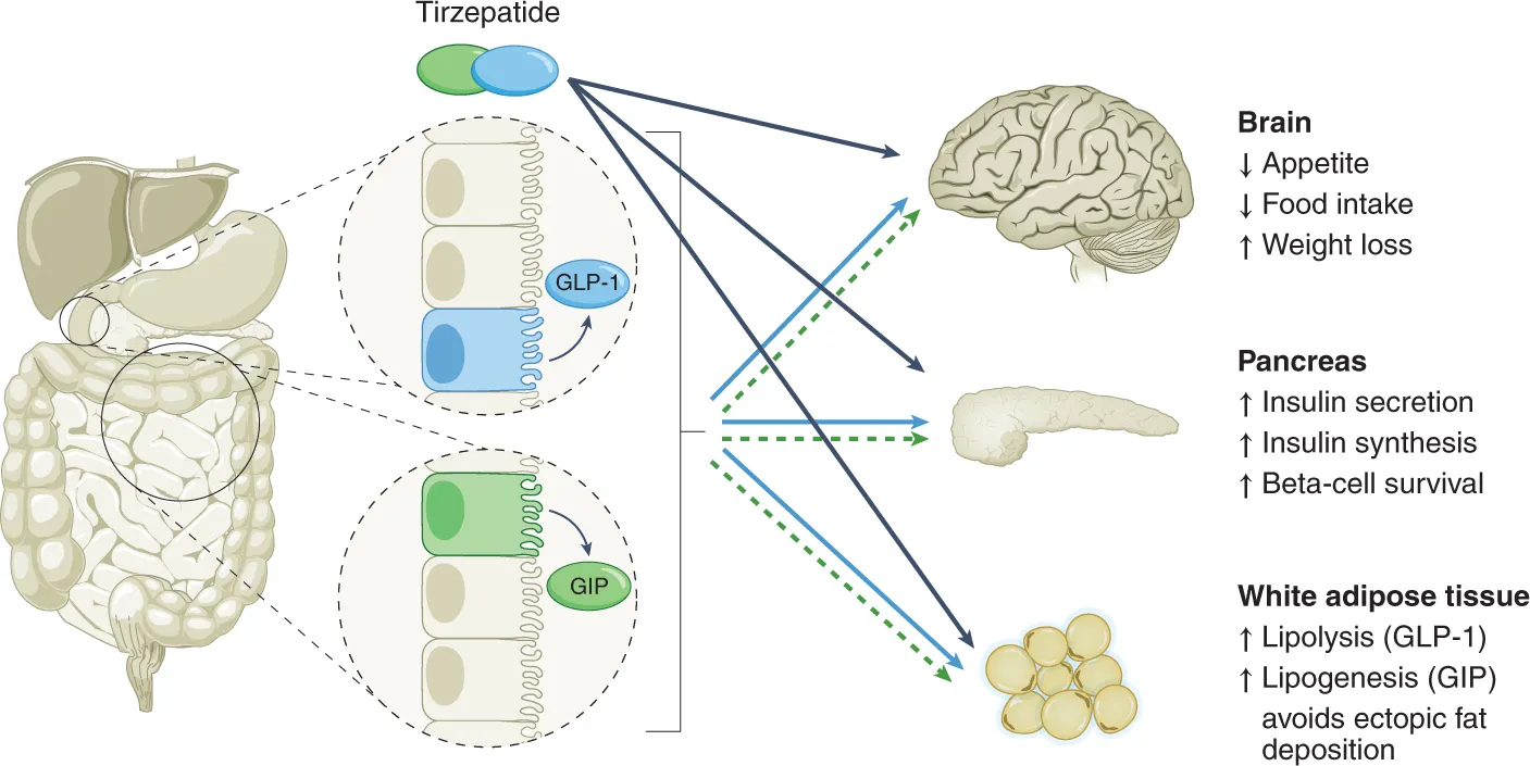 41591_2022_1733_Fig1_HTML 41591_2022_1733_Fig1_HTML