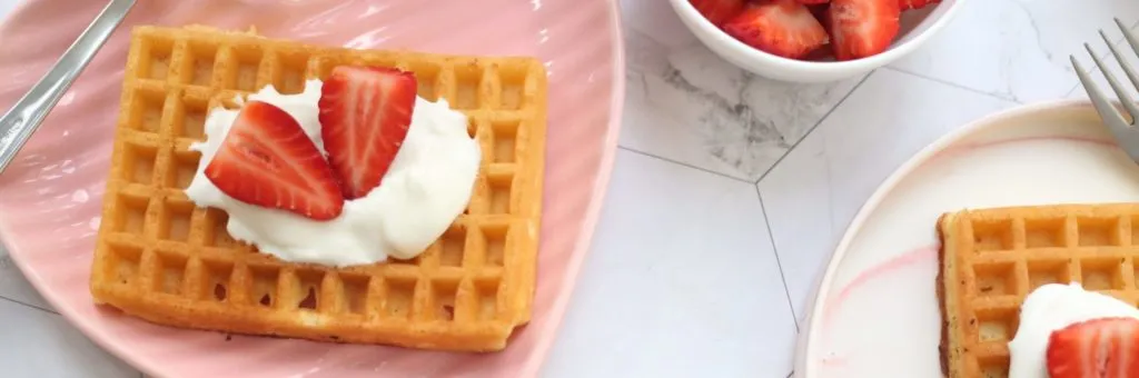 waffle-cover waffle cover