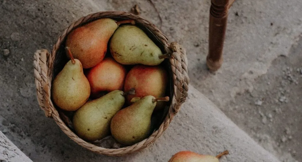 fibre-pera fibre pera