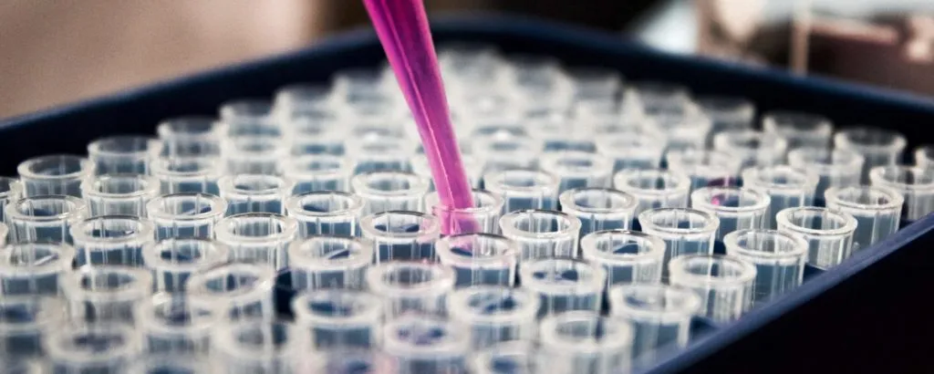 colesterolo-dna colesterolo dna