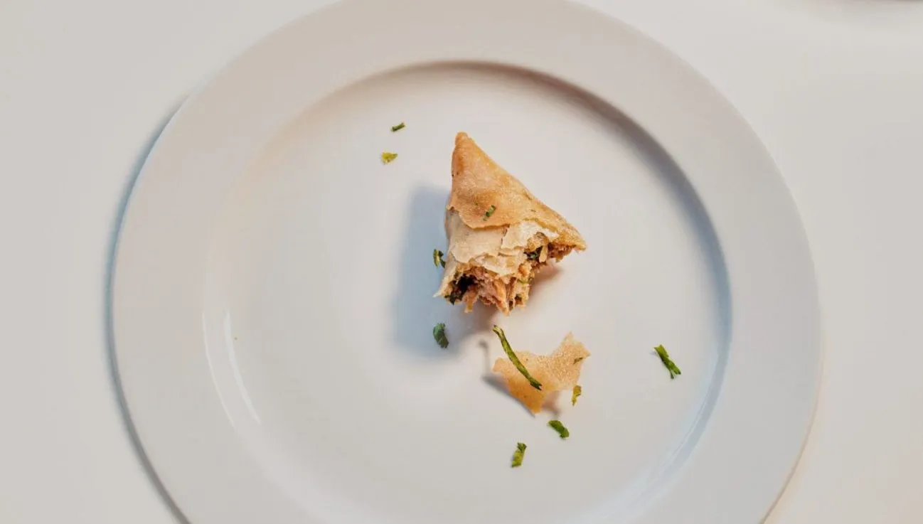 insetti mangiare cover