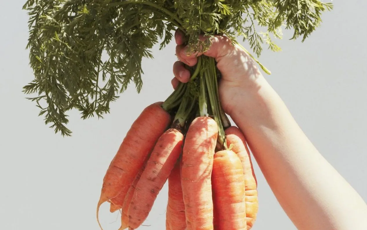 cover editing genetico